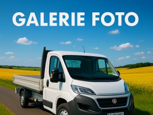 Autoutilitara Fiat Ducato de culoare alba , pe care sa scrie textul: 'Ovi Trans ' , cu usile din spate deschise , iar in spatele ei se vede cum un stivuitor incarca un palet cu marfa